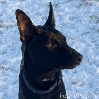 Апатиты, ул.Ферсмана‼️ВНИМАНИЕ...