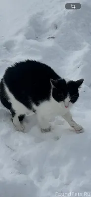Сызрань, Тольятти, я попала в ...