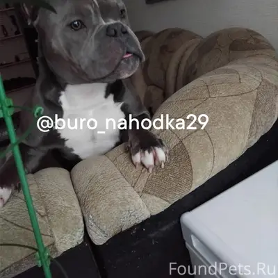 Продолжаем поиск, надеемся, чт...