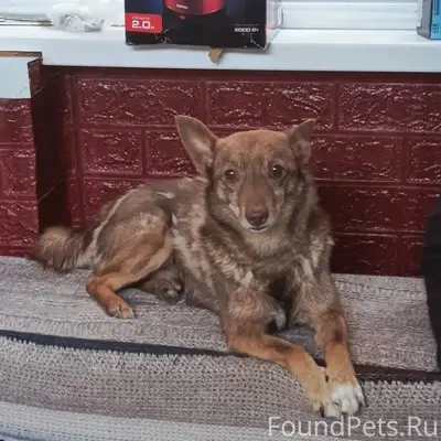 Добрый вечер! Срочно!!! Пропал...