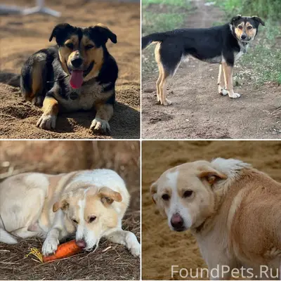 Внимание ❗️❗️❗️❗️ у нас снова ...