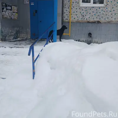 Доброго времени суток, в Колыч...