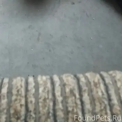 Помогаю информационно!!!! Серг...