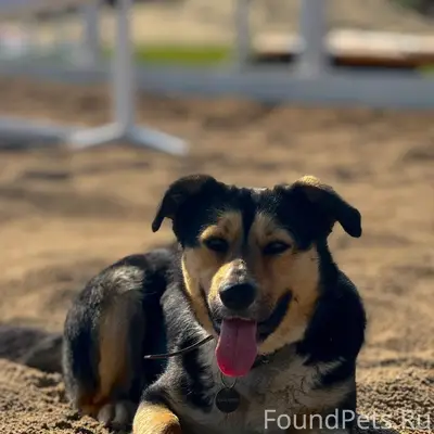 Внимание ❗️❗️❗️❗️ у нас снова ...