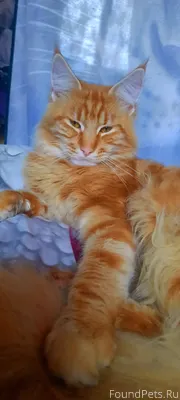 Всем Здравствуйте, хорошего вс...