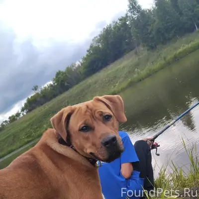 Здравствуйте помогите пожалуйс...