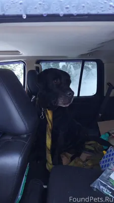 ❗️Сергиев Посад. В районе улиц...