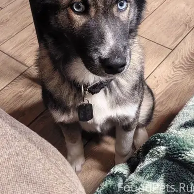 Мурманск и область. ✅Розыск со...