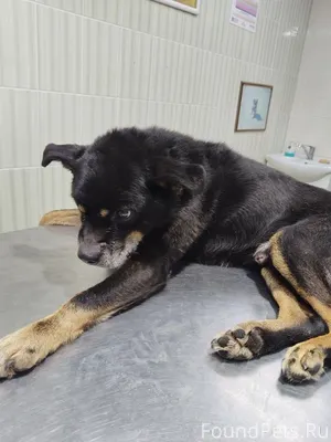 ️⛔️⛔️⛔️ВАЖНА ПОМОЩЬ.НЕ ПРОХОДИ...