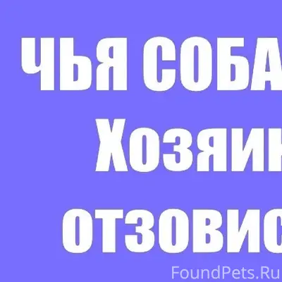 Здравствуйте, возможно у кого ...