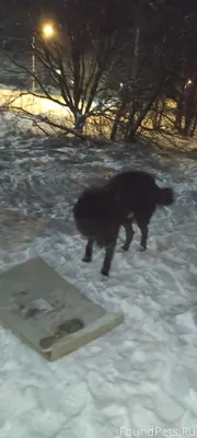 Ребята, SOS! Чей? Сегежская 3А...