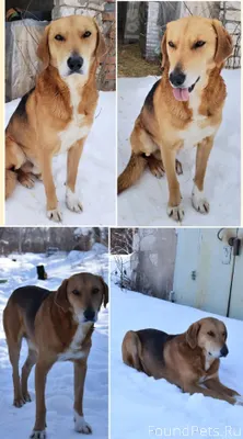 ‼Самарская область‼ Вы знаете,...