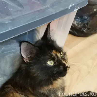 Друзья! Как обычно... Сос 🙈 На...