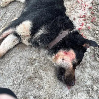 Здравствуйте, может кто то узн...