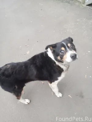 СРОЧНО 🆘🆘🆘🆘🆘🆘🆘🆘🆘🆘 Ещё 25.01.26...