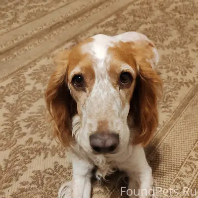 СРОЧНО!!! РЕПОСТ!!! 14 февраля...