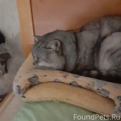 Уже больше двух недель я ищу.....