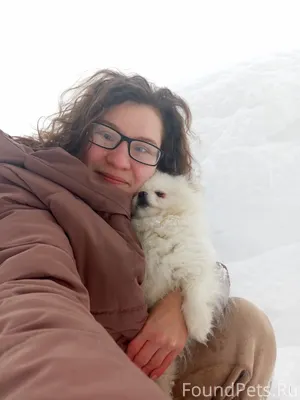 Я сегодня в сугробах потеряла ...