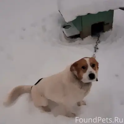 Вчера в Высоковске на Блинной ...