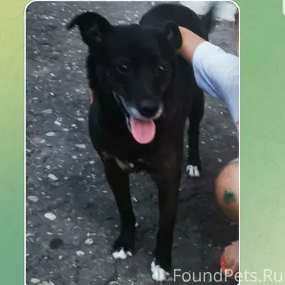 ПЯТИГОРСК ГОРЯЧЕВОДСК убежала ...