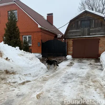 На Ивана Болотникова бегает со...