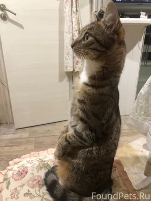 Дорогие односельчане Бахтеево ...