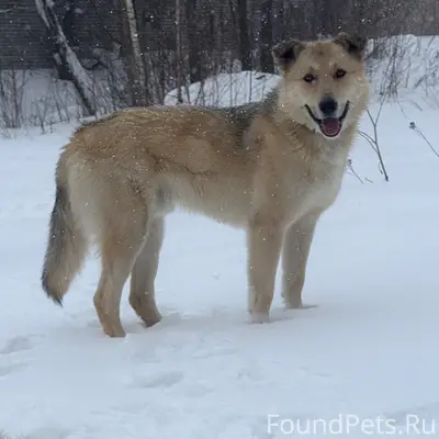 Переулок коммунаров ! Потерянн...