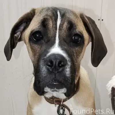 П.г.т. Анна, Воронежская облас...