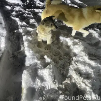 13 февраля, вечером на поворот...