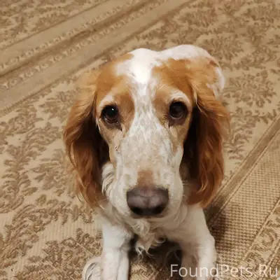 Просьба распространить! 14 фев...