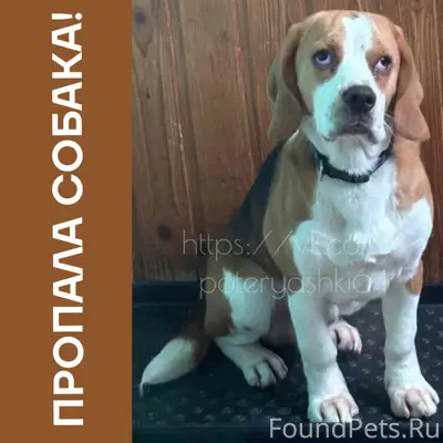 Саратов, Комсомольский поселок...