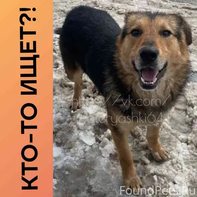 Саратов, Заводской район, ул.К...