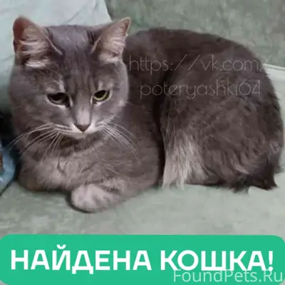 Саратов, район 77 школы. Найде...