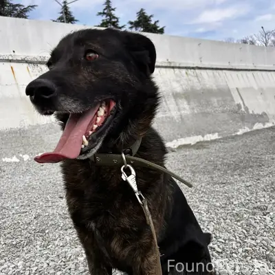 СЕВАСТОПОЛЬ! ПАРК ПОБЕДЫ и ряд...