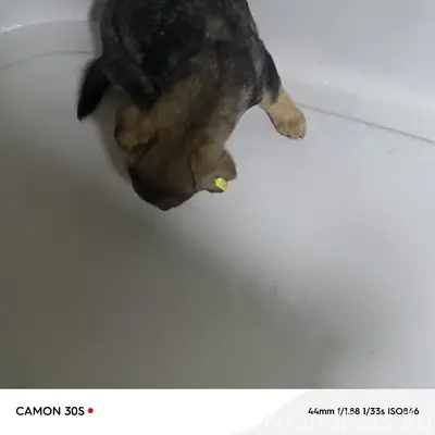 У нас пополнение! Девочка у ко...