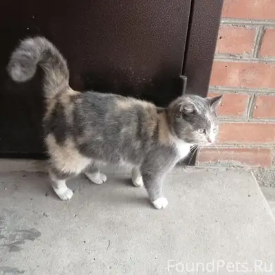 Чья подружка потерялась? Молод...