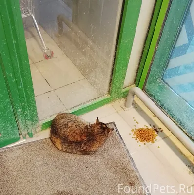 Здравствуйте. В Краснооктябрьс...