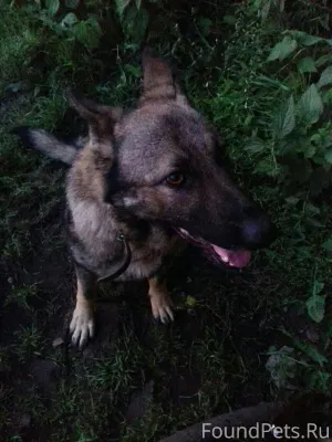 SOS! РЕПОСТ!!!!КРАСНОКАМСК! МЫ...