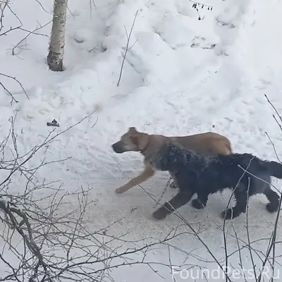 В районе ул.Пионеров-Октября з...