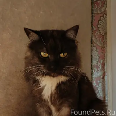 Фотеиха! Улицы Авиационная и б...