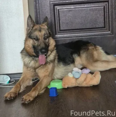 СРОЧНО! В К.Читаях найден моло...