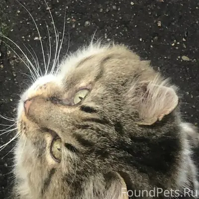 Товарищи, всем здравствуйте. У...