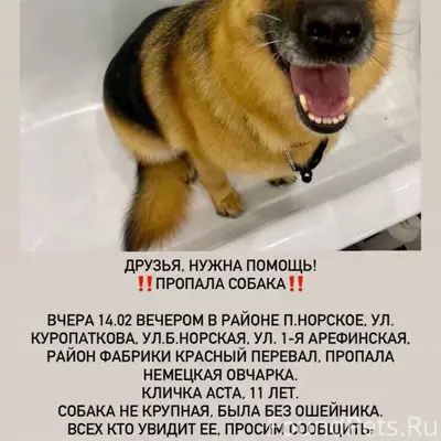 ДРУЗЬЯ! Помощь в репосте! Сего...