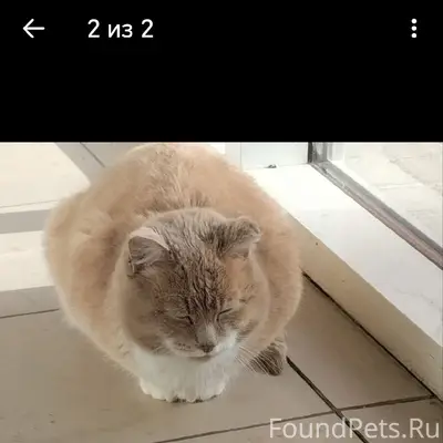 🆘 🆘 🆘 На территории рынка...