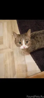 14 февраля в деревне Кичанова ...