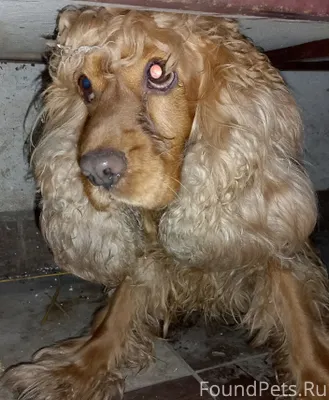 14.02.2026 года Ставропольский...