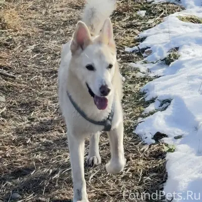 ВНИМАНИЕ‼️‼️‼️ РЕПОСТ ПОЖАЛУЙС...