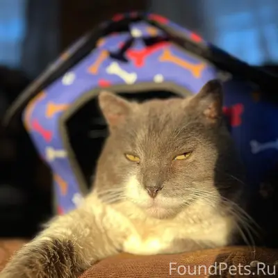 Тут было я с котом мысленно...