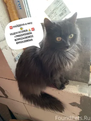 🆘 СРОЧНО🆘 РЕПОСТ 🙏 🙏 🙏...