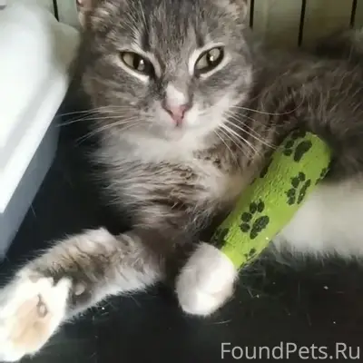 СПб Адмиралтейский р-н, пер Пи...